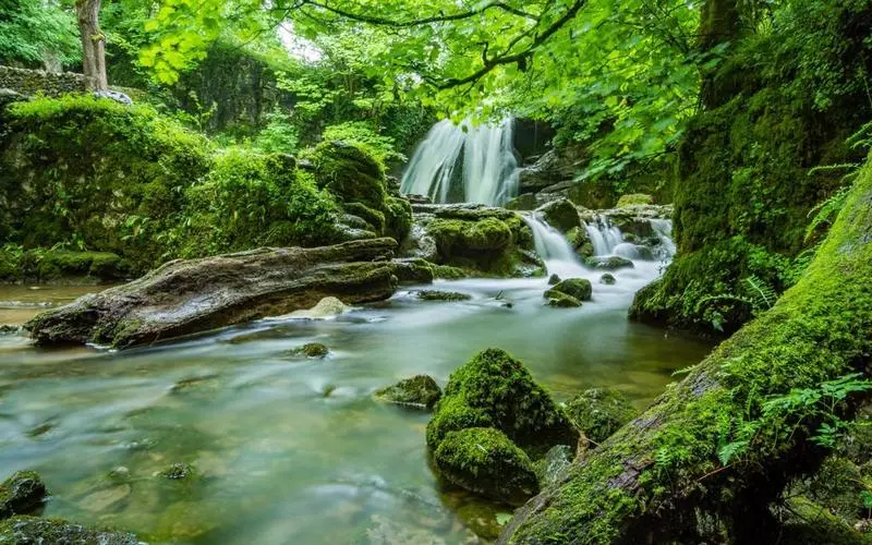 节能高标准节能